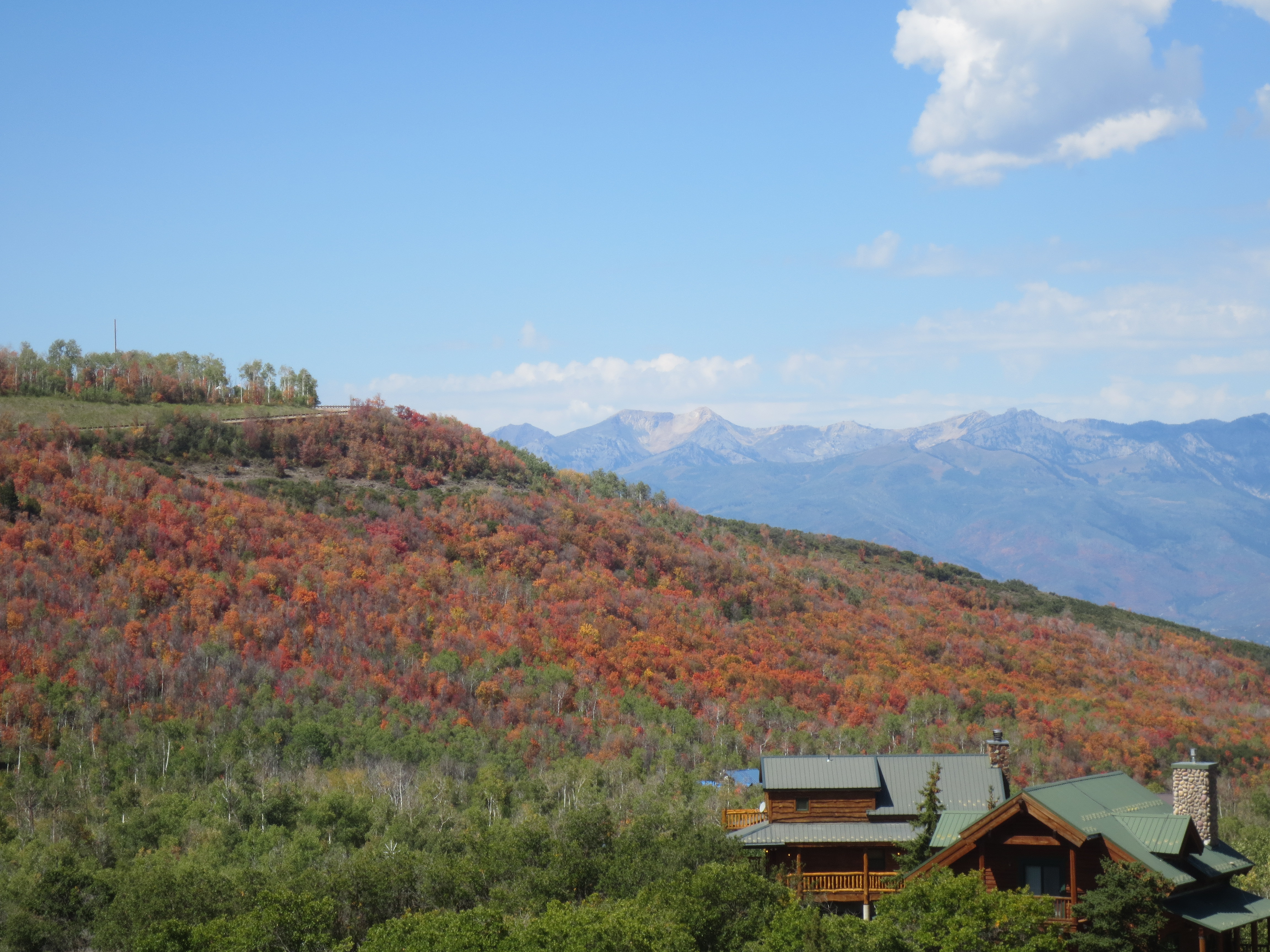 Autumn View